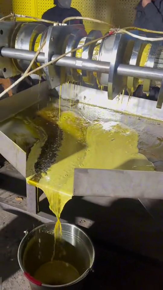 Rapeseed oil pressing: planning your equipment
