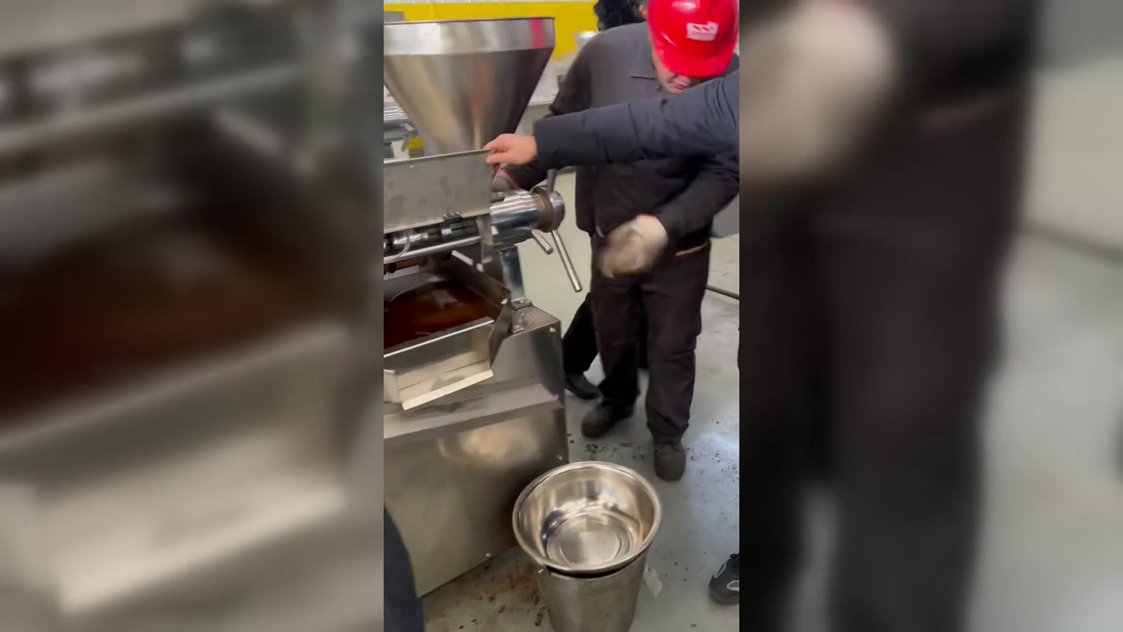 Sesame oil pressing: planning your equipment